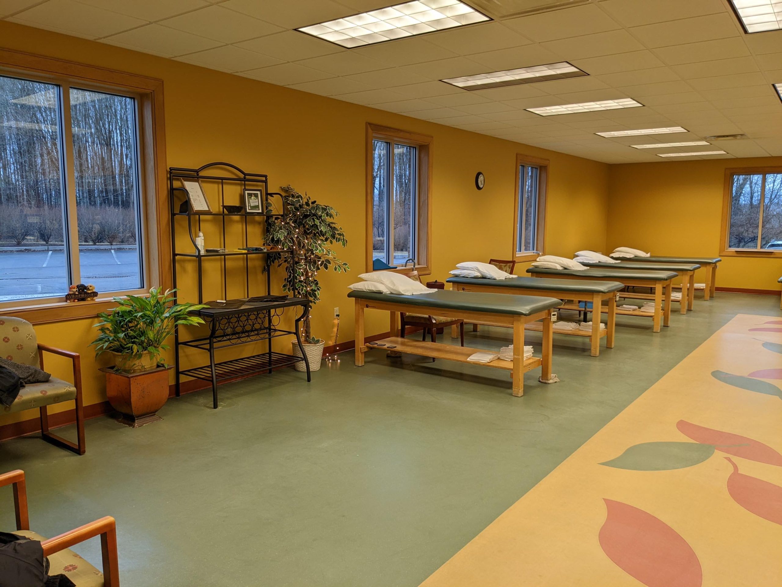 Physical Therapy Treatment Area